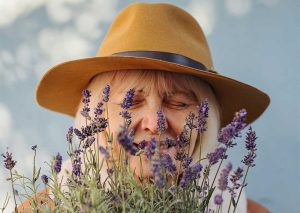 Lavanda en otono invierno cuando el frio acoge el aroma que calma
